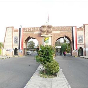 مجلس جامعة صنعاء يمنع تناول القات داخل الحرم الجامعي.. ويقر اقامة ثلاثة مؤتمرات علمية