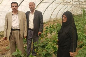 مساعد رئيس الجامعة لشؤون المراكز يتفقد مركز المحمية الزراعية١ مساعد رئيس الجامعة لشؤون المراكز يتفقد مركز المحمية الزراعية١