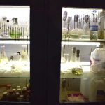 معرض العلوم