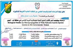 544781509_1236614864933046_2860234418407450369_n