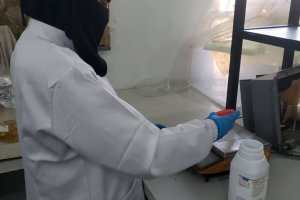 602900739_1323459512915247_7227665784818892715_n