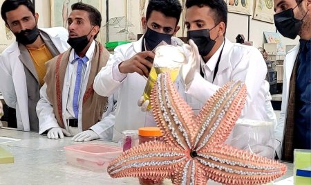 رحلة علمية إلى كلية العلوم بجامعة صنعاء لطلبة قسم علوم الحياة بكلية التربية والعلوم الإنسانية والتطبيقية – خولان