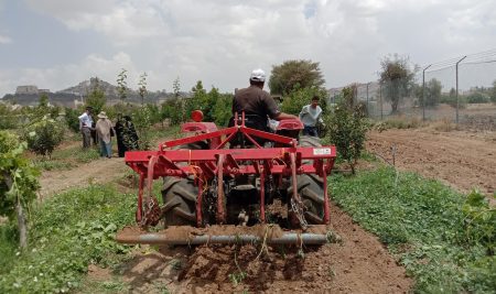 التدريب الصيفي لطلاب المستوى الثالث لجميع الاقسام العلمية بكلية الزراعة والاغذية والبيئة بجامعة صنعاء