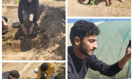 Faculty Plant Nursery Flourishes as Horticulture Students Cultivate Medicinal Plants