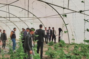 WhatsApp Image 2026-01-22 at 7.06.52 AM