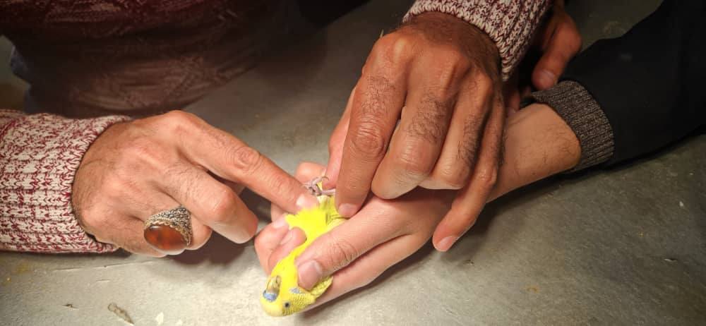 Faculty of Veterinary Medicine Empowers Students through Community Outreach