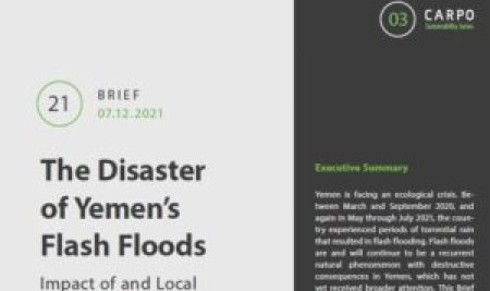 The Disaster of Yemen’s Flash Floods Impact of and Local Responses to the Torrential Rains and Flooding in 2020