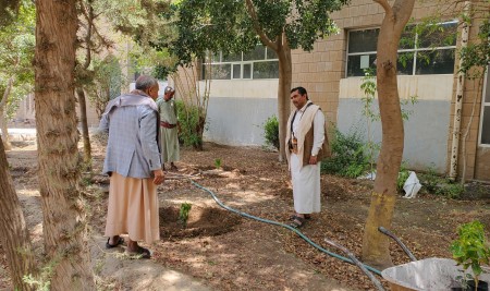 Faculty of Sharia and Law at Sana’a University Launches Campus Afforestation Campaign, Planting 40 Coffee Trees to Promote Environmental Awareness