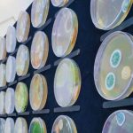 معرض العلوم