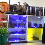 معرض العلوم