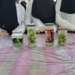 471250468_1047499367177931_7632293535279269098_n