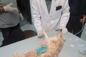 311318315_559700922622588_5830221219201753033_n