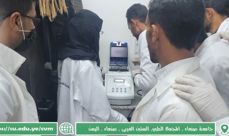 كلية الطب البيطري بجامعة صنعاء تنفّذ دورة تدريبية مكثفة حول تقنية (PCR) لطلبة كلية الزراعة