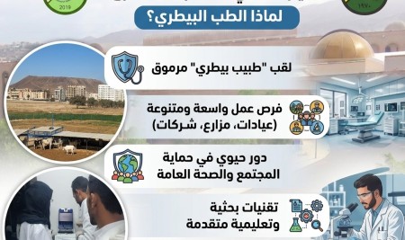 التنسيق مستمر