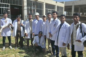 WhatsApp Image 2026-03-30 at 8.11.46 AM