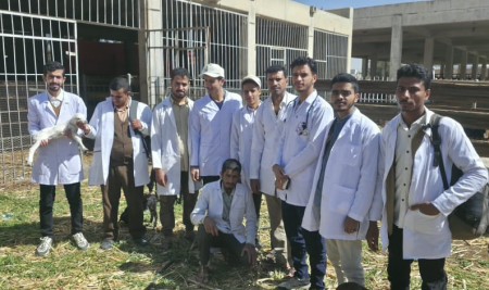 Veterinary Medicine Students Begin Hands-on Summer Training at the Faculty of Agriculture