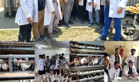 Animal Production Students Conduct Field Visit to Marib Poultry Farm
