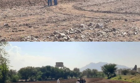 Cultivating Innovation: Sana’a University Educational Farm Resumes Field Operations with Forage Crop Planting