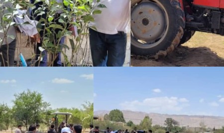 أقسام الكلية تنفذ نزولًا ميدانيًا مشتركًا بمشاركة طلاب المستوى الثاني
