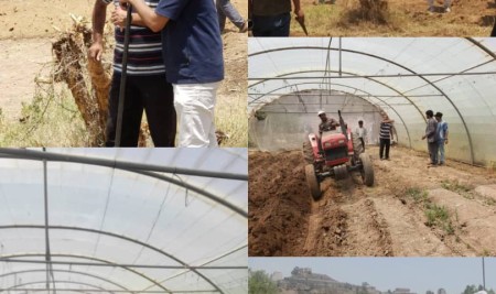 Horticulture Students Launch Comparative Crop Production Trial in Protected vs. Open-Field Environments