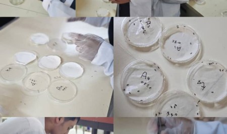 Plant Protection Students Conduct Practical Lab Experiment on Pesticide Toxicology