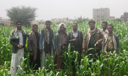 Forage Crop Field Practicum Connects Agronomy Concepts to Livestock Production