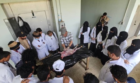 Junior Animal Resources Students Participate in Anatomy and Physiology Practicum