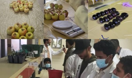Students of the Department of Horticulture and Its Techniques Conduct Practical Application in Post-Harvest Handling Technology for Fruits and Vegetables