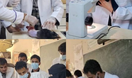 Department of Plant Protection Conducts Practical Session on Pesticide Toxicity and Rabbit Dissection for Senior Students