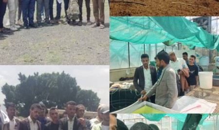 Thamar University Students Conduct an Applied Scientific Visit to the Livestock Department at the Faculty of Agriculture, Food, and Environment
