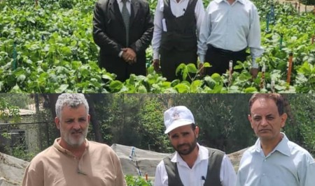 Department of Crops & Plant Genetics Conducts Field Visits to Oversee Graduate Research