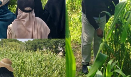 طلاب المستوى الرابع بقسم الاقتصاد والتعاون الزراعي يتعرفون على الحشرات الاقتصادية وطرق مكافحتها