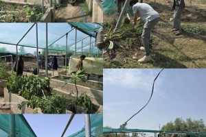 WhatsApp Image 2026-08-24 at 2.06.17 AM