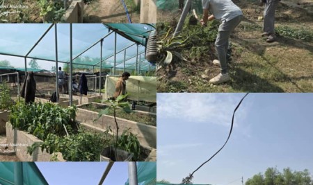 Horticulture Students Take Part in Field Activity to Prepare Nursery and Greenhouse