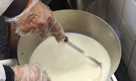 Hands-On Cheese Making: Animal Production Seniors Master Queso Blanco and Mozzarella Production