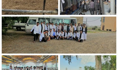 Sana’a University Livestock Students Conduct Field Trip to Risabah Farm