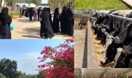 Faculty of Agriculture Conducts Field Trip to Al-Ahdhan Farm for Second-Year Female Students