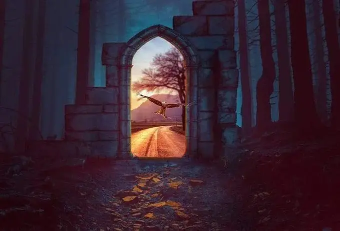 افتتاح معرض علوم الحياة بالكلية