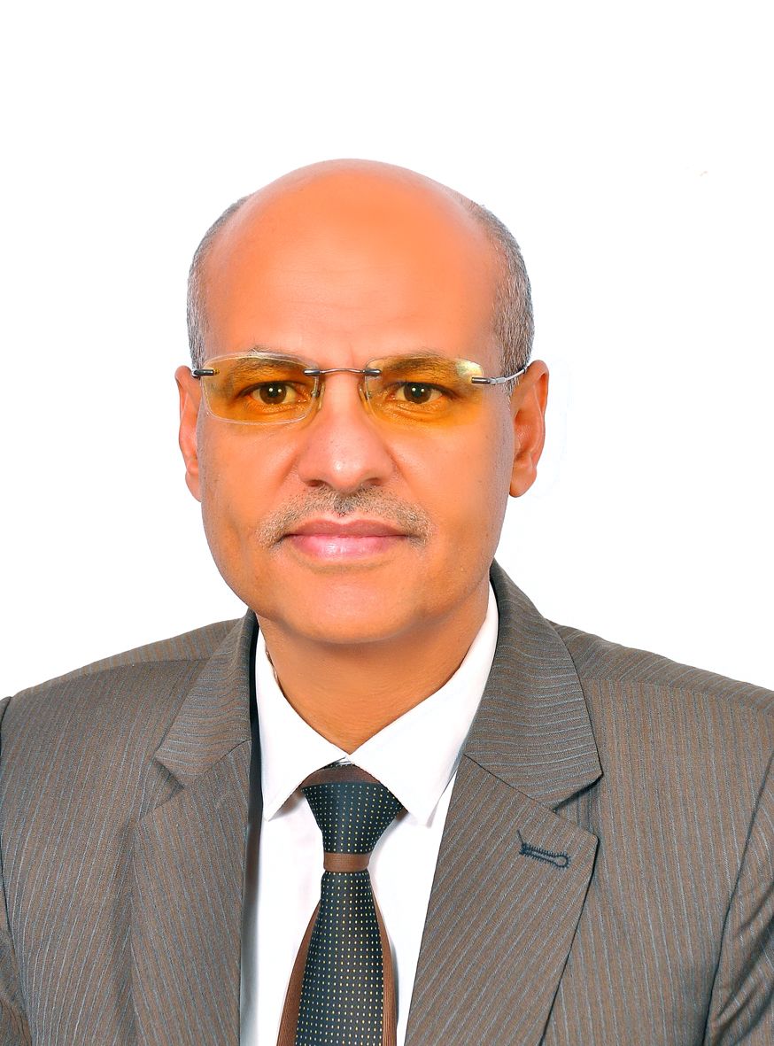 Mahmoud Mahyoub Mohammed Al-Borihi