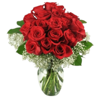 خلفية صور للنساء