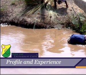 Profile and Experience