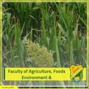 كلية الزراعة english