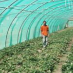 مساعد رئيس الجامعة لشؤون المراكز العلمية يجري زيارة تفقدية لمركز المحمية الزراعية2